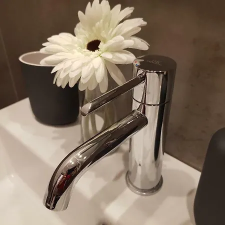 My בית הארחה